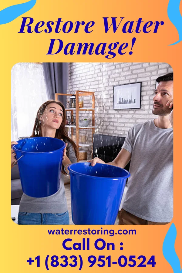 water restoration Crown Water Repair Experts Fairburn