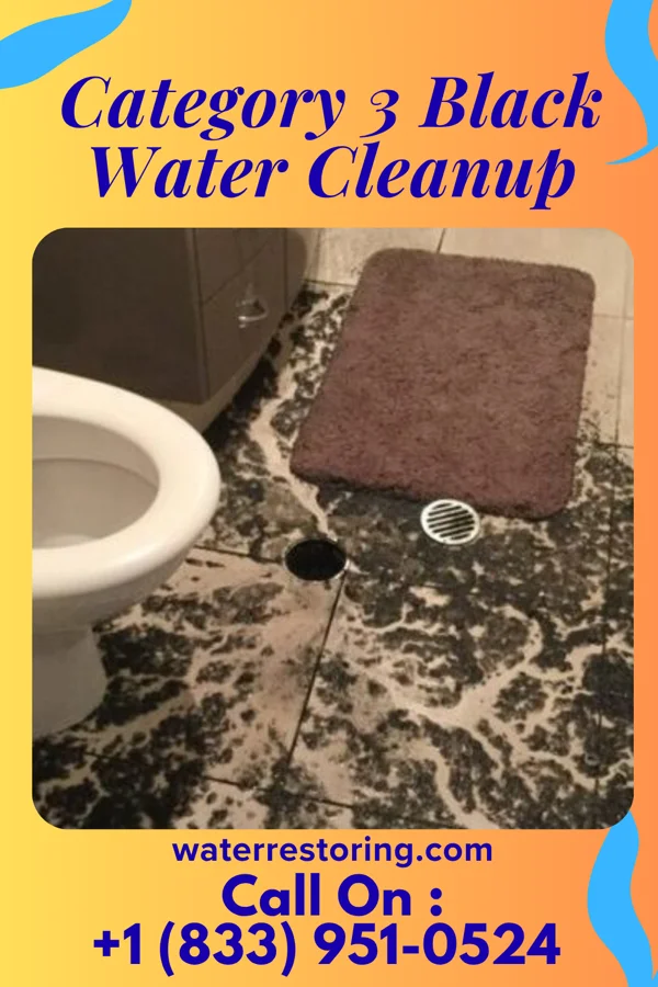 Category 3 Black Water Cleanup in Fairburn, GA