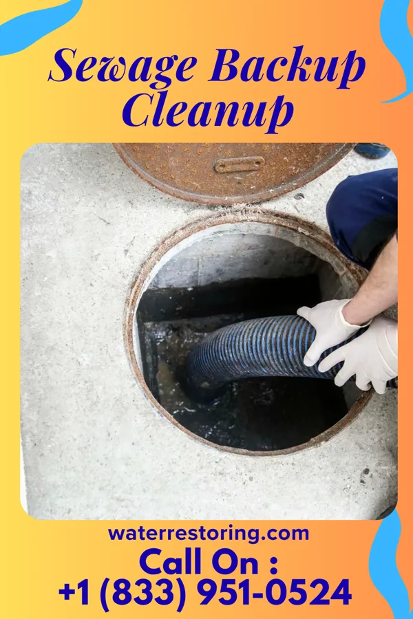 Sewage Backup Cleanup in Fairburn, GA